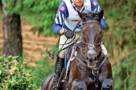 Der will wohl lieber tauchen als reiten! Luhmuhlen Pferd Nach Sturz Bei Reitturnier Eingeschlafert