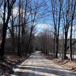Weekly Road Run