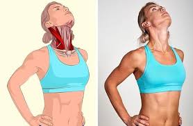 kendinizi mukemmel hissettirecek 17 kas esnetme hareketi fitness egzersizleri germe egzersizleri vucut spor