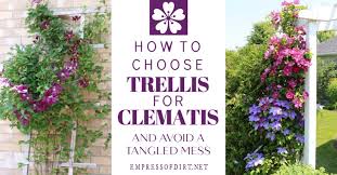 If the planting area is more open, plan to mulch the soil with shredded leaves or compost, keeping the mulch a few inches away from the stems. Garden Trellis Screening Garden Fence Panels Gates Free Standing Clematis Trellis