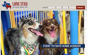 We did not find results for: Dog Rescue Tx Lone Star Aussie Rescue
