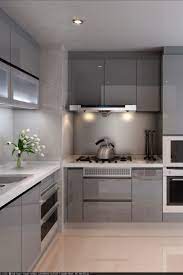 Pigmented Uv Finish Kitchen Cabinet Kitchen Remodel Small Modern Kitchen Cabinet Design Kitchen Cabinets