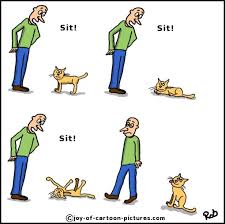 Cat Training Cartoon Cat Training Cats Funny Cats