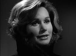 We Are Controlling Transmission: Spotlight