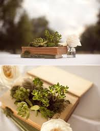 Si les gusta esta alternativa. Centros De Mesa Para Bodas En La Playa Cactus Y Suculentas