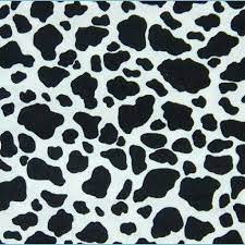The neet notification that every mbbs aspirant looks forward to is finally up after a prolonged delay, and it comes with many unpleasant rules that may cause immense trauma and is likely to crush many dreams. Cow Pattern Wallpapers Top Free Cow Pattern Backgrounds Wallpaperaccess