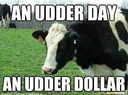 Pin By Monica Hawkins On Life Cows Funny Farm Humor Cow Quotes