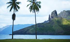 Image result for Marquesia acuminata