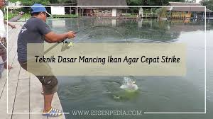 Teknik Dasar Mancing Ikan Agar Cepat Strike Sangat Diperlukan Guna Untuk Mendapatkan Hasil Pancingan Yang Memuaskan Baseball Cards Baseball Cards