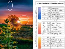 Abby McNamee (mcnamee4)