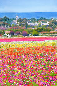 40 flower field paintings ranked in order of popularity and relevancy. New Carlsbad Flower Fields Painting By Mary Helmreich