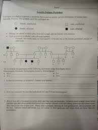 We did not find results for: Name Genetics Pedigree Worksheet A Pedigree Is A Chegg Com