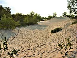40 likes · 8 were here. Datei Sandbanks Provincial Park Sand Dunes Ontario Jpg Wikipedia