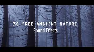 Perhaps your youtube video will receive a copyright claim, this is normal, you don't worry about anything. 30 Free Ambient Nature Sounds Effect Cinematic Sounds Effects Youtube