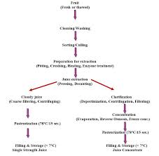 Dt 11 Lesson 12 General Steps In Juice Processing