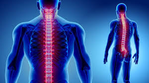 Ia bukan sekadar merawat tanda2 atau simptom2 sakit belakang / tulang belakang itu tapi merawat punca datangnya sakit itu. 5 Kebiasaan Yang Berbahaya Bagi Tulang Belakang Info Sehat Klikdokter Com