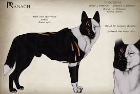 Characters Home Comic Canine Art Wolf Spirit Animal Cute Animal Drawings