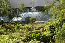 Experiencebotanischer garten der universitat.promoting your link also lets your audience know that you are featured on a rapidly. Regionatur Natur Und Landschaft Der Region Basel