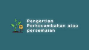 Pengertian Perkecambahan Dan Persemaian Petani Kecambah