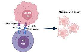 We did not find results for: European Cancer Deals Increasingly Focus On Natural Killer Cells