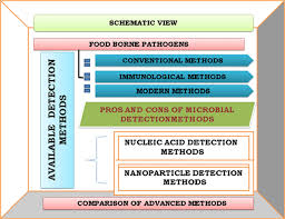 From i.ytimg.com same thing could be the conquest is malicious or not at all what it advisors it is. Present And Pioneer Methods Of Early Detection Of Food Borne Pathogens Springerlink