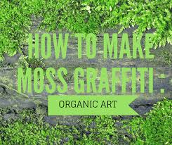 Check spelling or type a new query. How To Make Moss Graffiti An Organic Art Form Properly Rooted