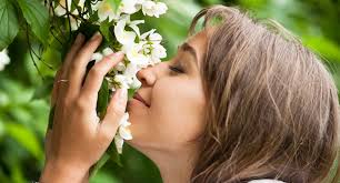 Amazon.com : Sou Zen Jasmine Green Tea Loose Leaf Blend 4oz (113g)