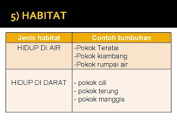 Urat daun is on facebook. Tumbuhan 1 Daun Jenis Urat Daun Urat Selari