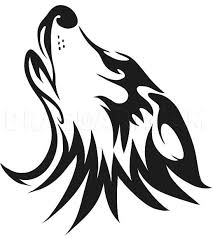 How to draw a wolf head, mexican wolf, step by step, drawing guide, by finalprodigy. How To Draw A Wolf Head Step By Step Drawing Guide By Dawn Dragoart Com