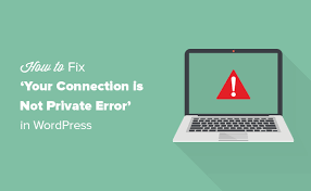 | meaning, pronunciation, translations and examples. How To Fix Your Connection Is Not Private Error Site Owners Guide