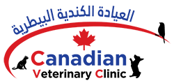 Maybe you would like to learn more about one of these? Veterinary Clinic Abu Dhabi Veterinary Hospital Abu Dhabi