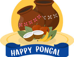 pongal transparent png images pongal transparent png images