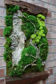 Moosbilder Selber Machen Moosbild Mit Holzrahmen Vertical Garden Diy Vertical Garden Design Vertical Garden
