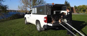 Rental assistance i would do babysitting, pet sitting etc in return. Animals And Wildlife City Of Cornwall