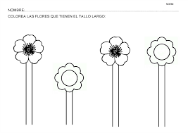 Pin En Tanulas