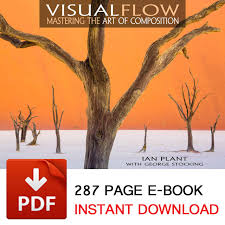 Has been added to your cart. Visual Flow Mastering The Art Of Composition By Ian Plant