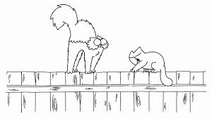 Normally, when you come running in the room with a spray bottle, they drop what they are doing and bolt. Simon S Cat Wages War On Feline Bully Next Door