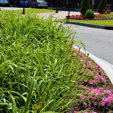 743 wilder dr, columbus, ga 31907 map & directions. Lawn Irrigation System Columbus Ga Lawn Care Landscaping