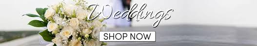 We did not find results for: Send Flowers In Sunbury Pa
