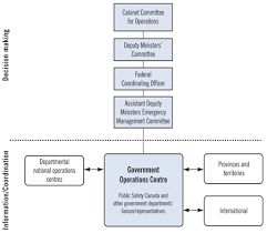• the executive members should determine whether the emergency response plan and centre should be activated. Chapter 7 Emergency Management Public Safety Canada