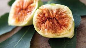 These trees ensure you have fruit available to pick over an extended period of time and each variety pollinates the other. Fabulous Figs And Fruit Trees Saturday Breakfast Abc Radio