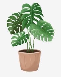 Pin By Jimena Kaehler On Paintings In 2020 Plant Wallpaper Plant Cartoon Plant Art