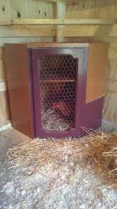 Make Your Own Chicken Box For New Mamas We Used An Old Kitchen Cabinet Homestead Chickens Pet Chickens Keeping Chickens