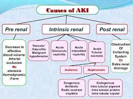 In 2004, the acute dialysis quality initiative (adqi) group published the rifle classification of arf, based on changes from the patient's baseline either in. Tabulate The Laboratory Indices Used To Differentiate Pre Renal And Intrinsic Acute Renal Failure Dr Trynaadh