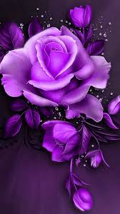 Rose wallpapers, backgrounds, images— best rose desktop wallpaper sort wallpapers by: 1080x1920 Rose Wallpaper Wallpaper Backgrounds Purple Purple Rose Flowers Wallpaper Hd 1080x1920 Wallpaper Teahub Io