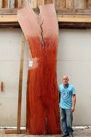 It speed of growth makes it a useful plantation timber, and as a. Berkshire Products Australian Eucalyptus Live Edge Wood Slab Wood Slab Beautiful Wood Red Gums