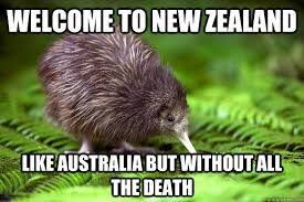 Image Result For New Zealand Memes New Zealand Tours New Zealand Audley Travel