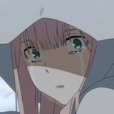 Matching Icons Anime Anime Crying Zero Two Anime