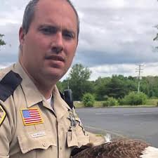 Meet the Virginia sheriff's deputy who has rescued 19 bald eagles