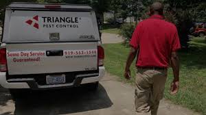 These resources for survival aid them to live comfortably and help them reproduce increasingly through time. Why Join Triangle Pest Control Triangle Pest Control Careers